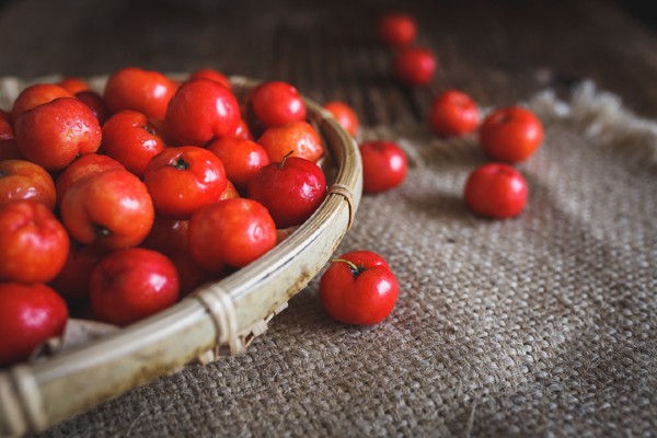 Cachorro pode comer acerola?