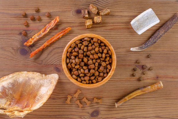 Cachorro pode comer carne de porco? Descubra se o alimento está permitido!