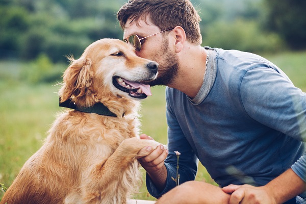 Cachorros são capazes de tomar decisões a partir da emoção de humanos, afirma estudo