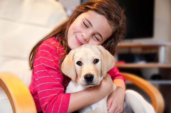 Famílias brasileiras têm mais pets do que crianças