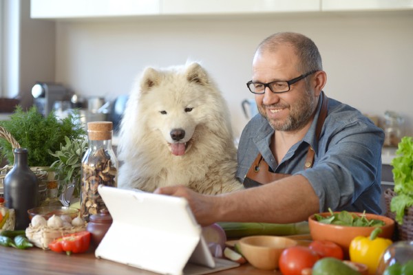 Cachorro pode comer espinafre? Entenda se o alimento está liberado para os peludos!