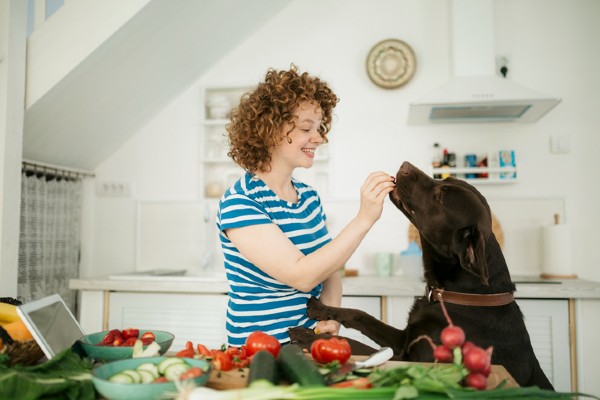 Cachorro pode comer vagem?