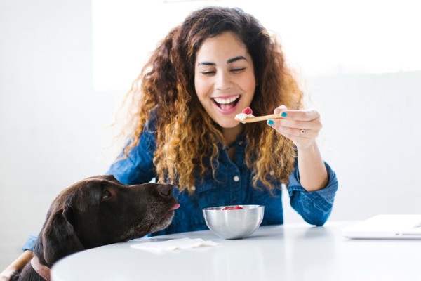 Você sabe se cachorro pode comer lichia?