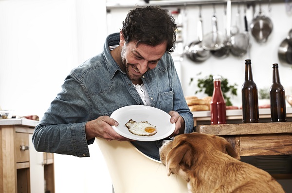 Cachorro pode comer ovo frito?