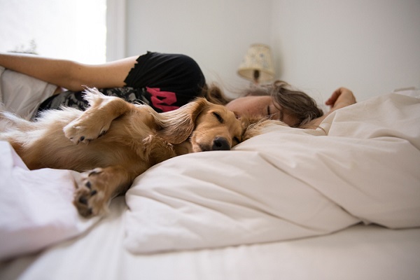 Cachorro pode dormir no quarto? Onde ele deve dormir?