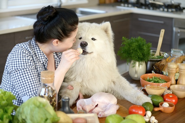 Cachorro pode comer mandioquinha?