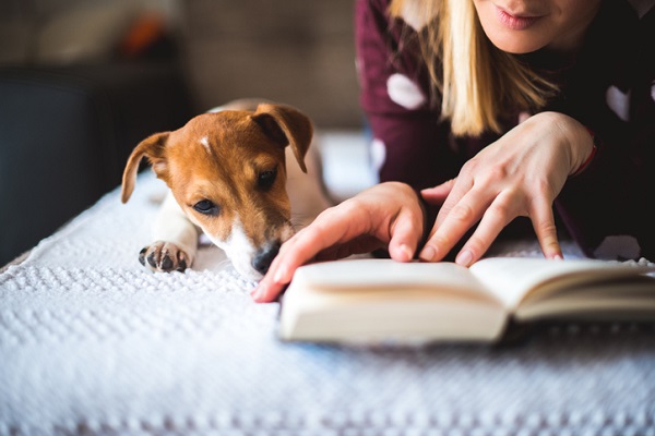 4 livros que todo apaixonado por cães deveria ler