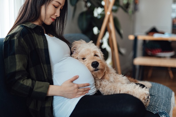 Cachorro pode ficar perto de grávida?