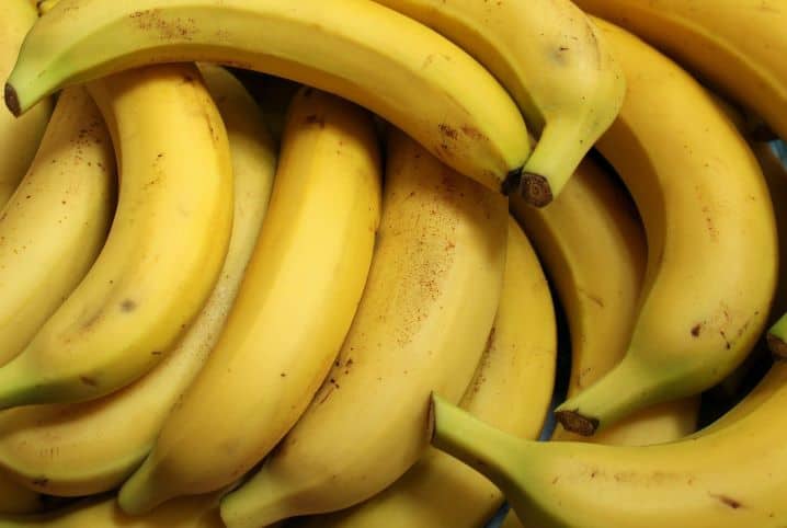 Será que calopsita pode comer banana? Descubra se a fruta faz parte da dieta dessas aves!