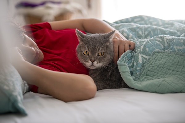 Gato pode dormir com o dono?