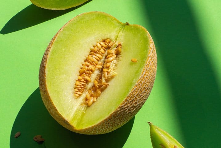 Coelho pode comer melão? Saiba mais!