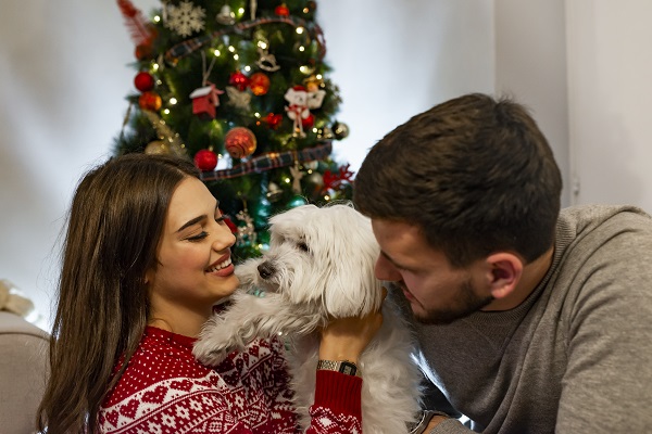 Millennials preferem ter um cachorro a uma criança, diz estudo