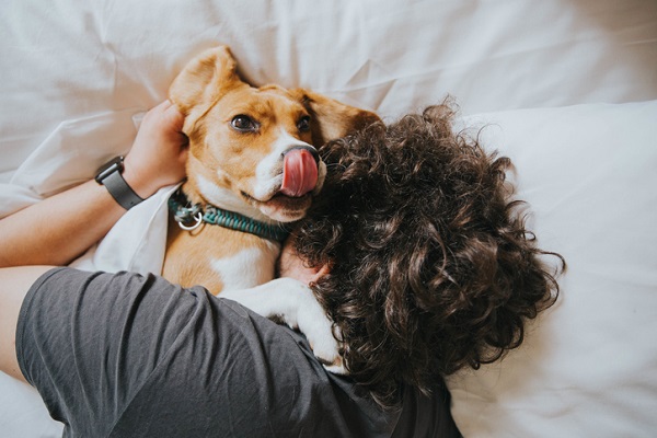 Pesquisa mostra um pouco mais sobre a ansiedade por separação em cães