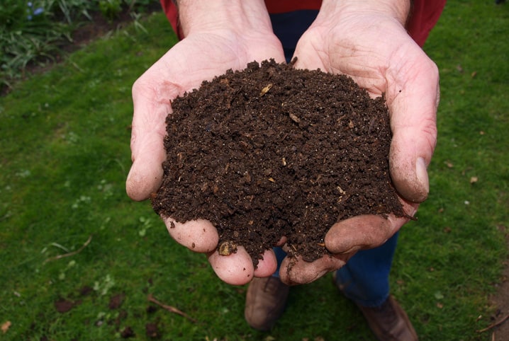 Como usar fertilizante? Descubra aqui!