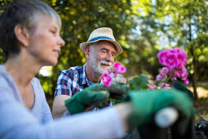 Como decorar jardim para o Natal: veja algumas dicas