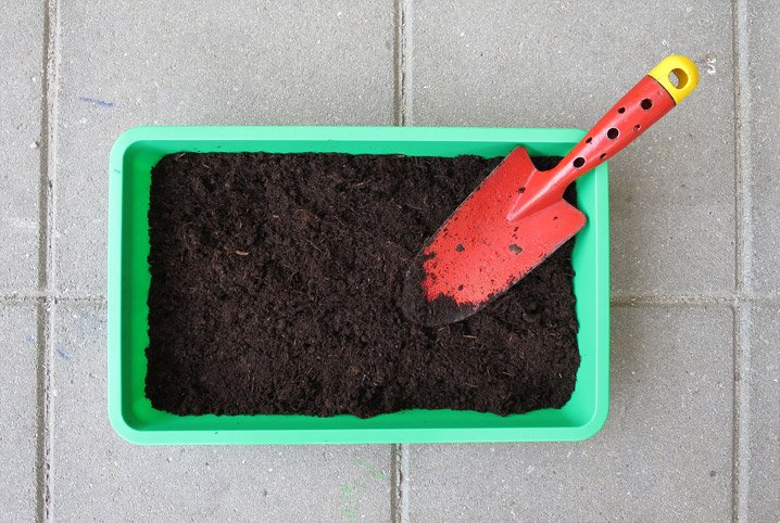 Saiba como plantar pimenta com a própria pimenta